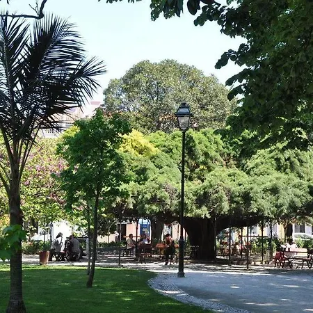 B1 Bairro Alto - Bica Spacious Bright